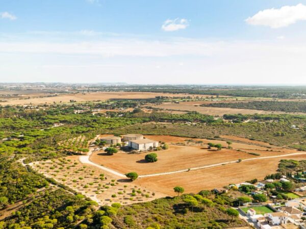 Everything You Need to Know About Buying Commercial Property in Mohali